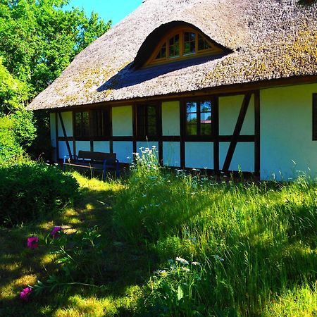 Eulenhof Vorpommern Rossin Zewnętrze zdjęcie
